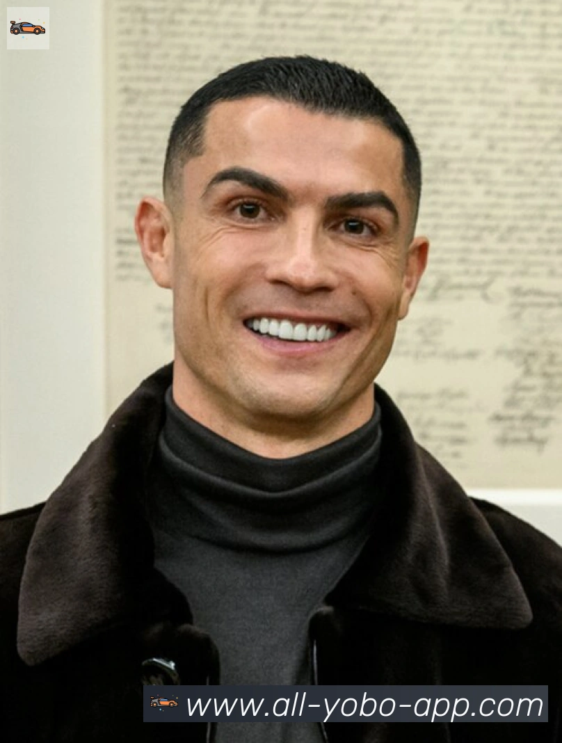 维尼修斯